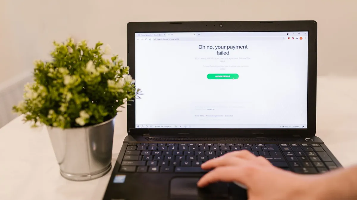 Person using laptop with payment failure message on screen and plant beside it.